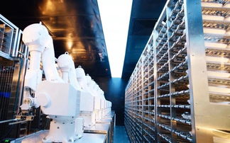 探店海底撈智慧餐廳 科技與美食的奇幻樂園